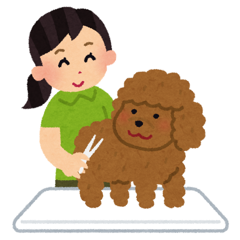 pet_triming_grooming