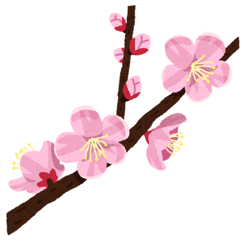 flower_anzu