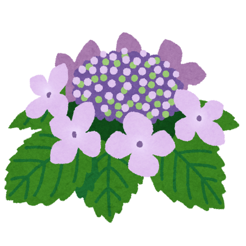flower_gaku_ajisai