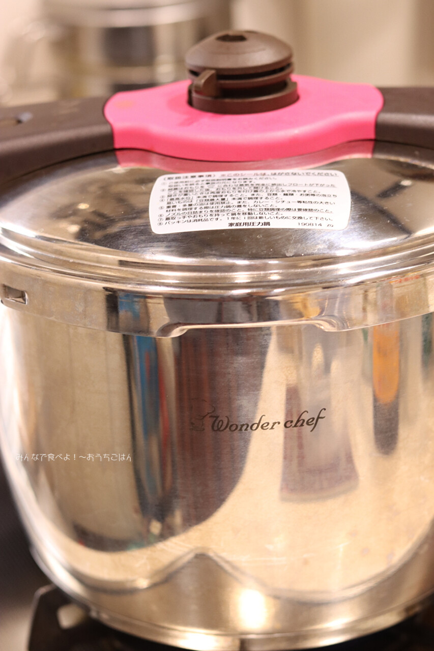 再入荷 ラゴスティーナ 圧力鍋 鍋 5L 夏野菜 カレー - 通販