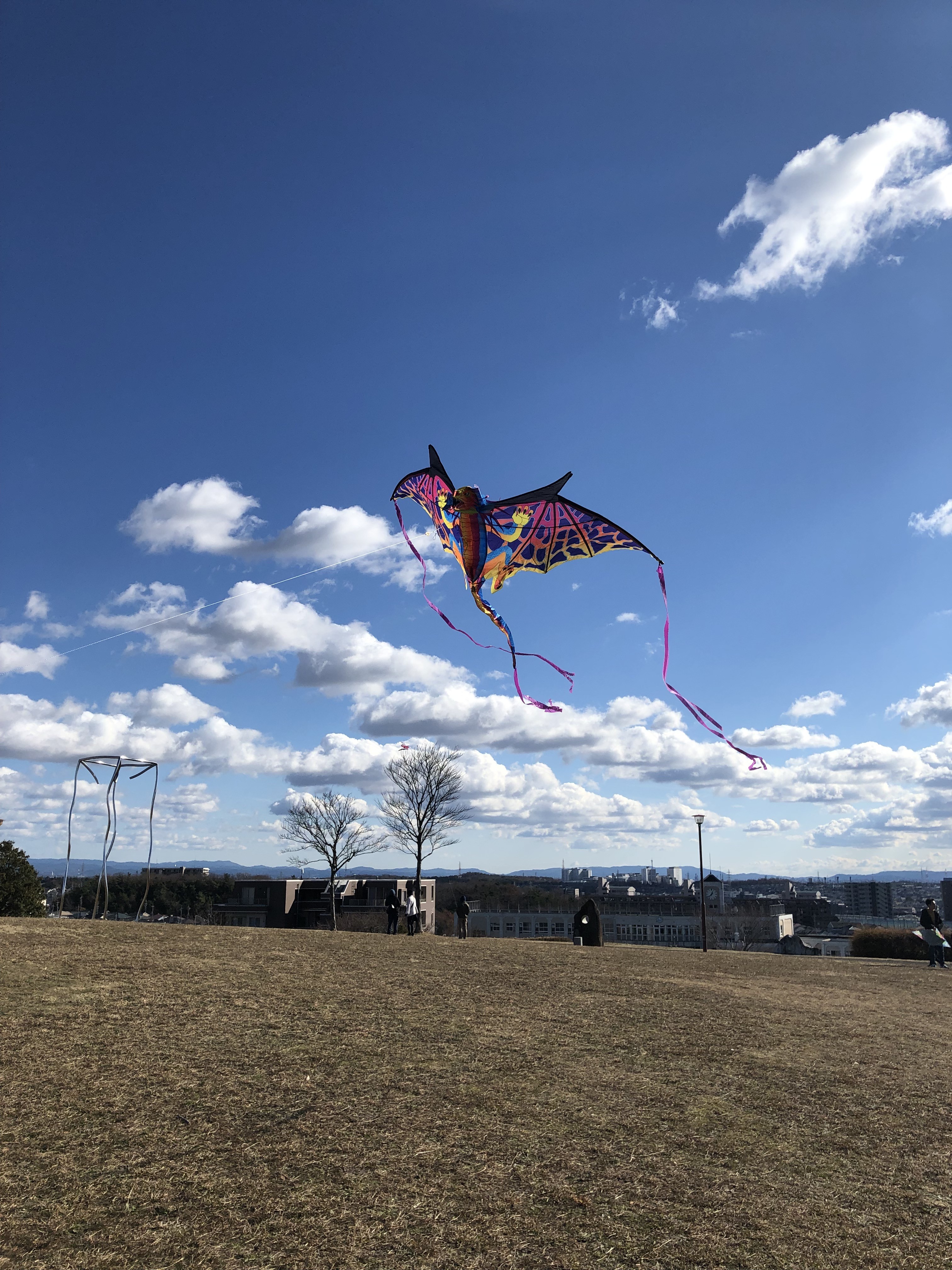 2メートルのでっかいドラゴンの凧で凧上げしてきたよ～！☆コストコ