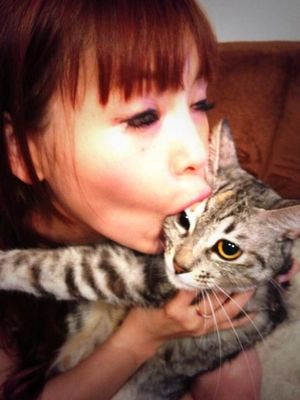 芸能 中川翔子の愛猫マミタスが急死