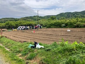 IMG_7431