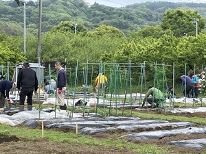 IMG_1837