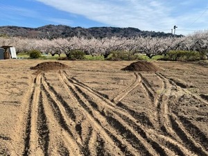 IMG_5191