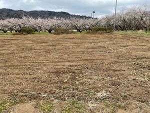 IMG_5198