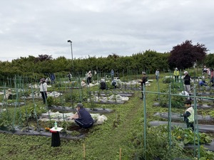 IMG_0665
