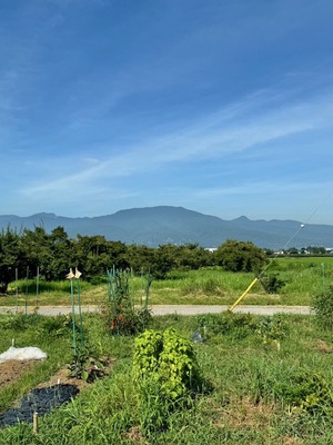 image3