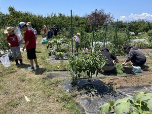 IMG_9361