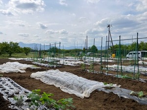 IMG_7451