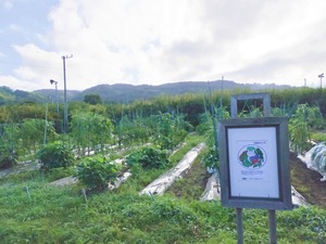IMG_20210806_030240