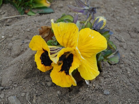 image_02