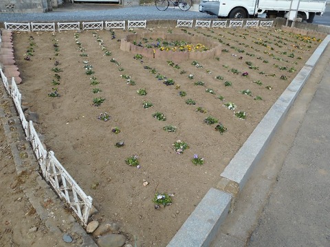 image_03