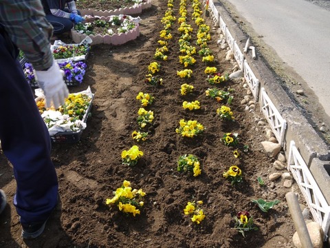 image_04