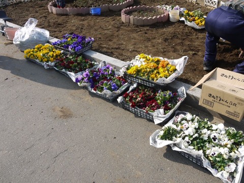 image_02