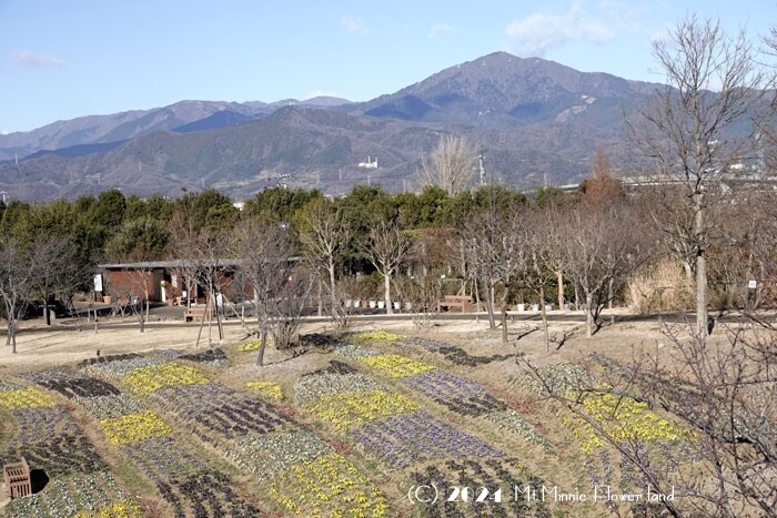 1-103yama