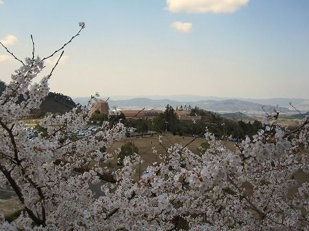 %E3%81%82%E3%81%84%E3%81%94%EF%BC%92