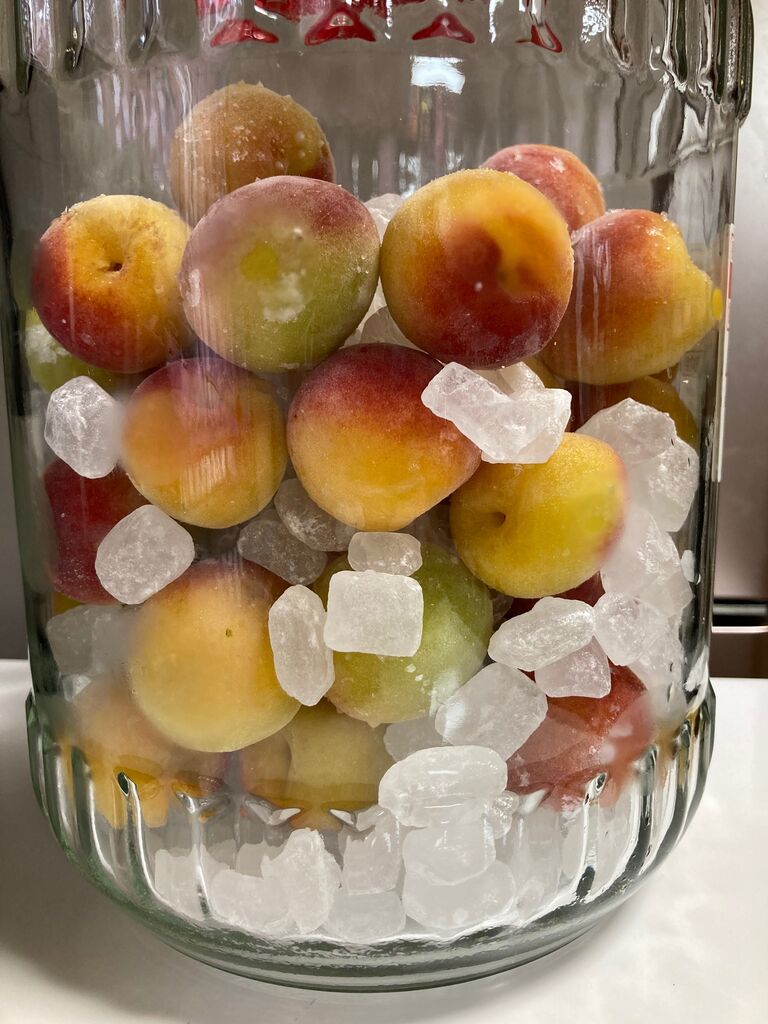梅シロップと梅酒つくり 日々素敵