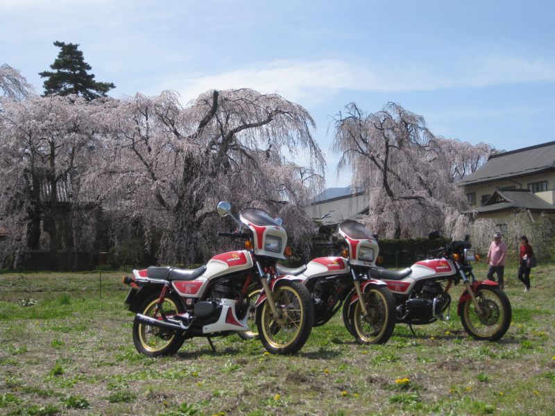イメージ 9