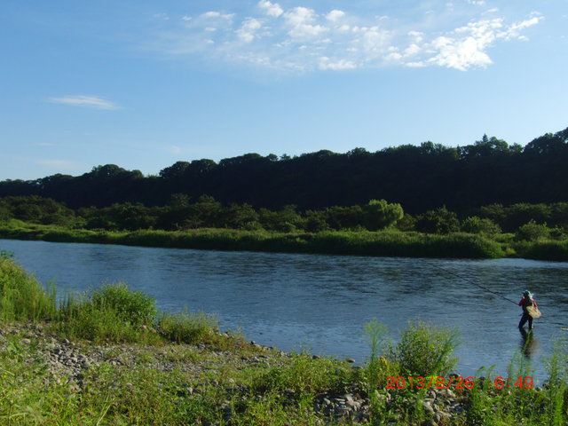 神奈川県相模川の鮎釣り ３１回目 航空公園 ま いっか