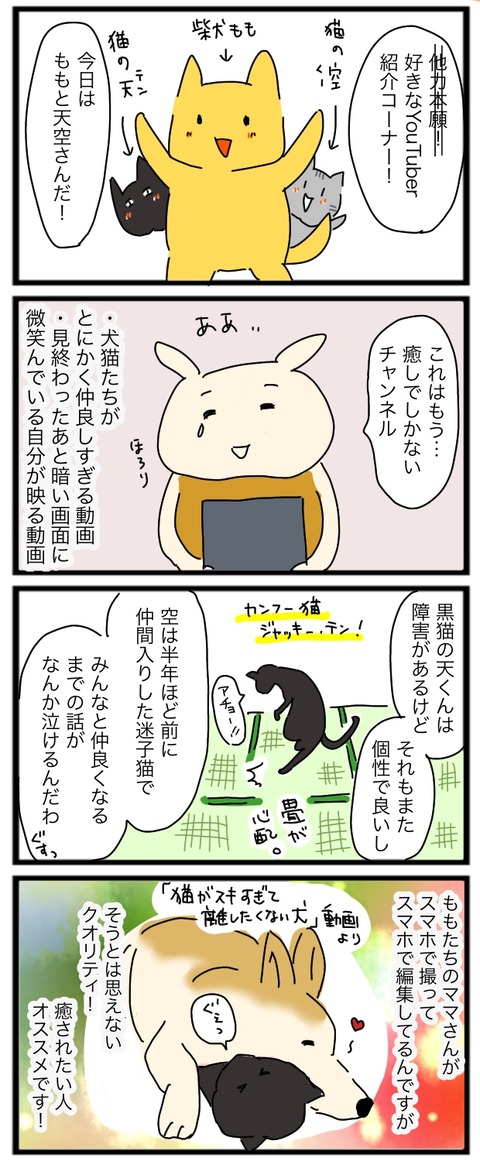 犬と猫が仲良しだとニヤける みのまんのジタバタ日記