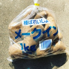 jyaga