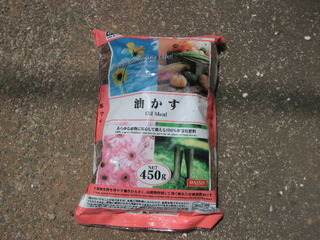 PICT0498