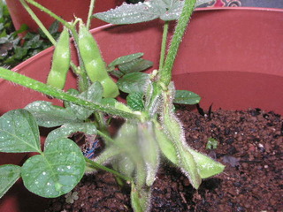 PICT0489
