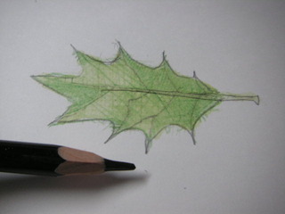 PICT0544