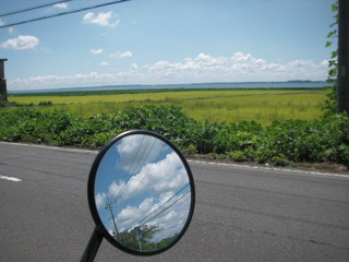 PICT0335