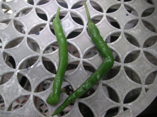PICT0492