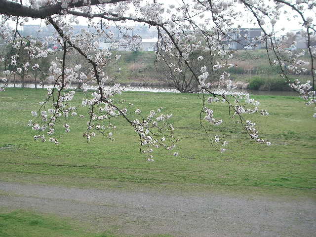 イメージ 5