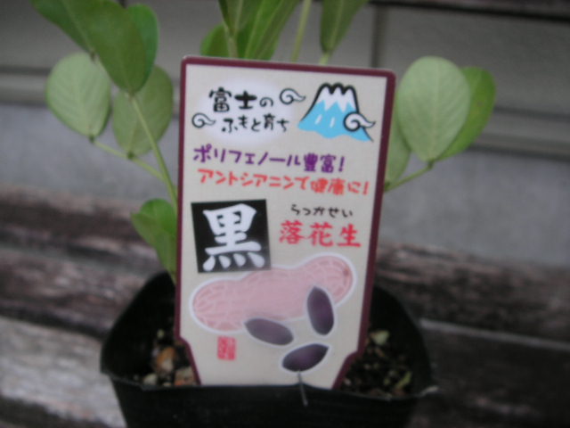 イメージ 1