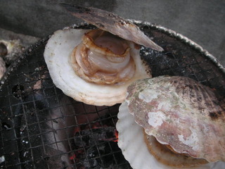 PICT0502