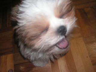 PICT0345
