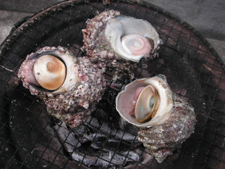 PICT0493