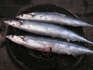 PICT0505