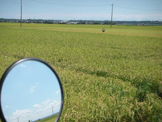 PICT0336