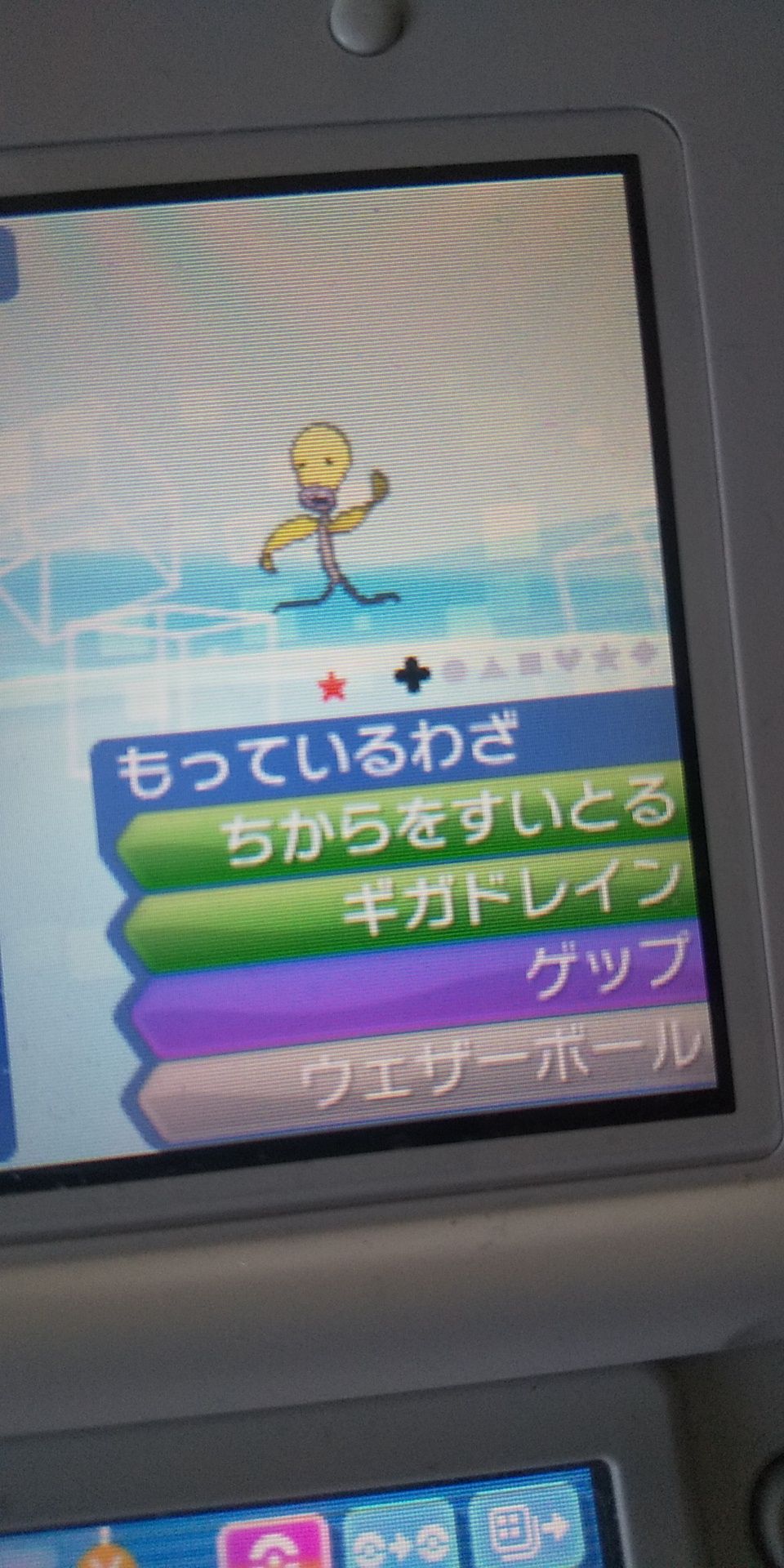 マダツボミ ポケモン日記