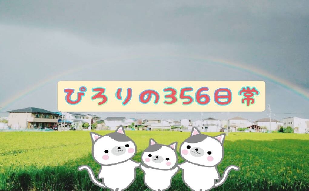 料理（料理）に関するWebメディア