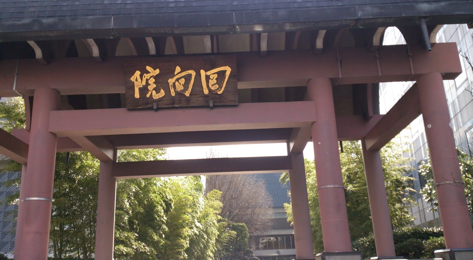 in11.jpg