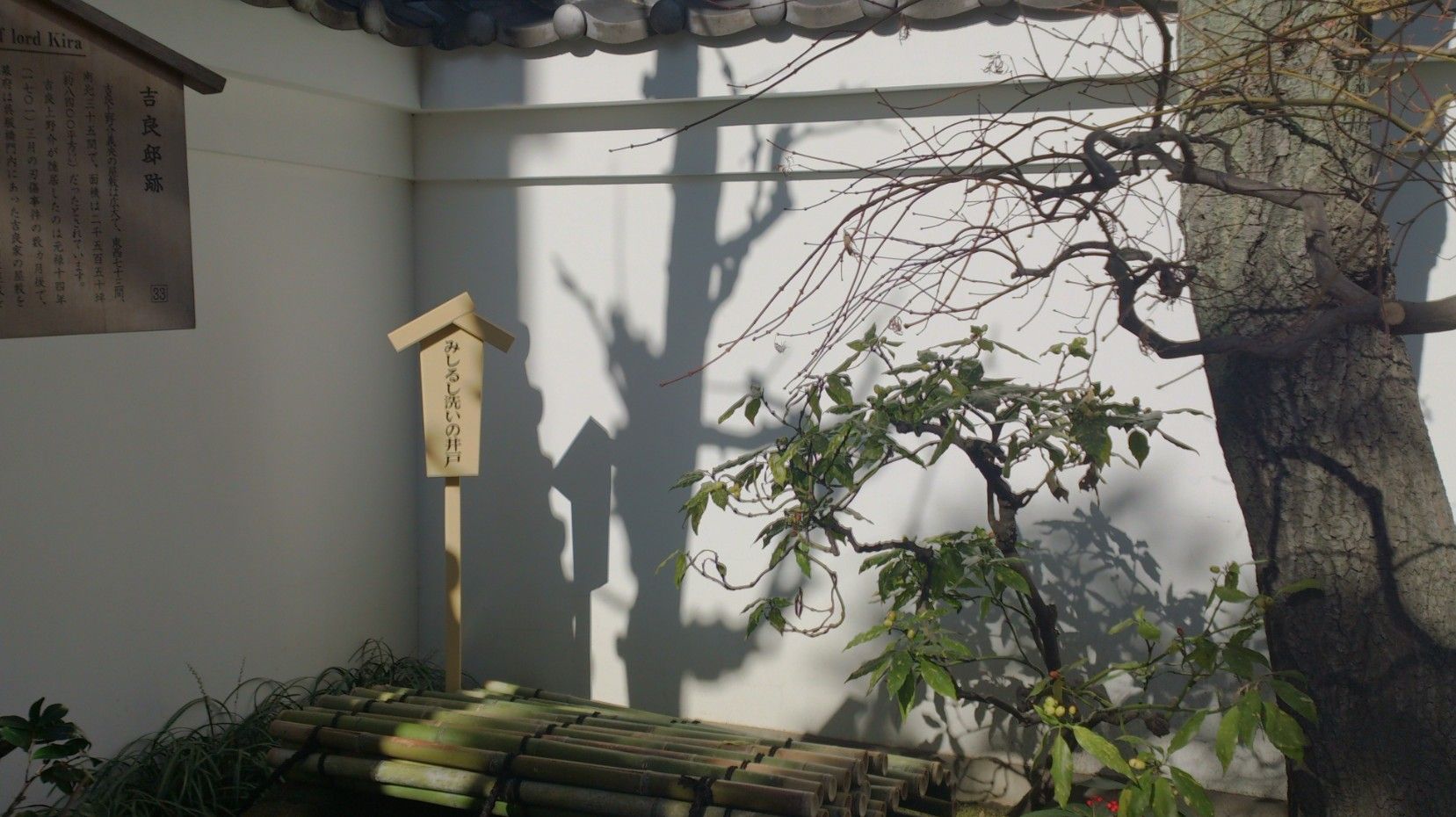 kirasan2.jpg