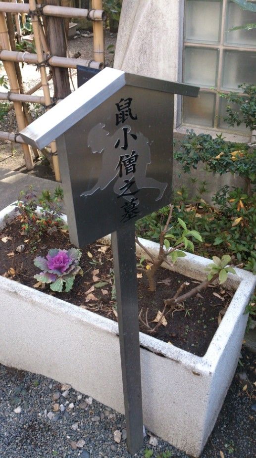 nezumi.jpg