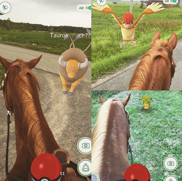 ポケモンgo 自転車だと時速10kmを超えて歩きと認識されないので馬を使い出す猛者が現れる みんなのポケモンgo