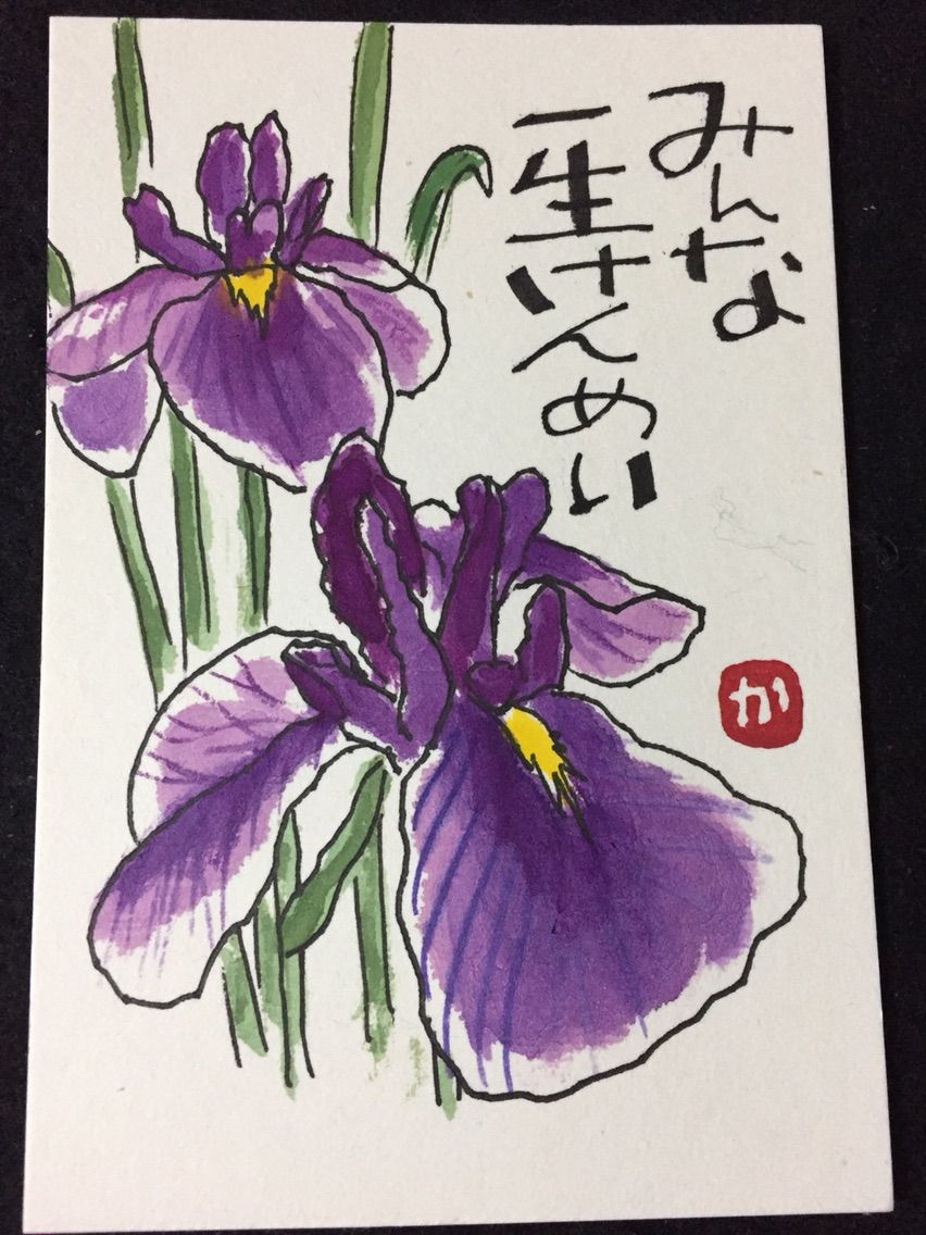 17 7 9 花菖蒲 絵手紙日記
