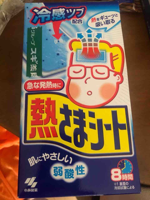 冷えピタ売り切れ問題 きゅきゅぐまのいちにち 冷えピタ売り切れ問題 きゅきゅぐまのいちにち