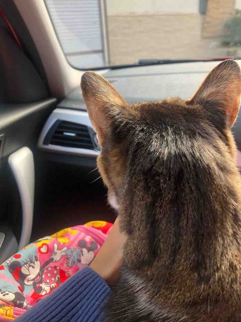 お出かけ きゅきゅぐまのいちにち