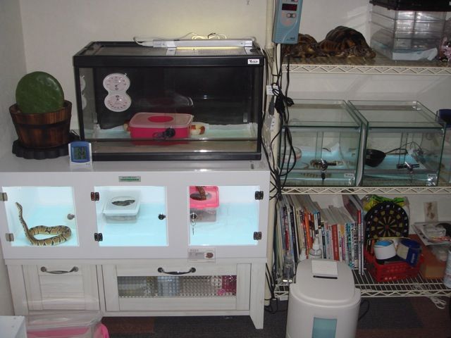 November 10 Craholic