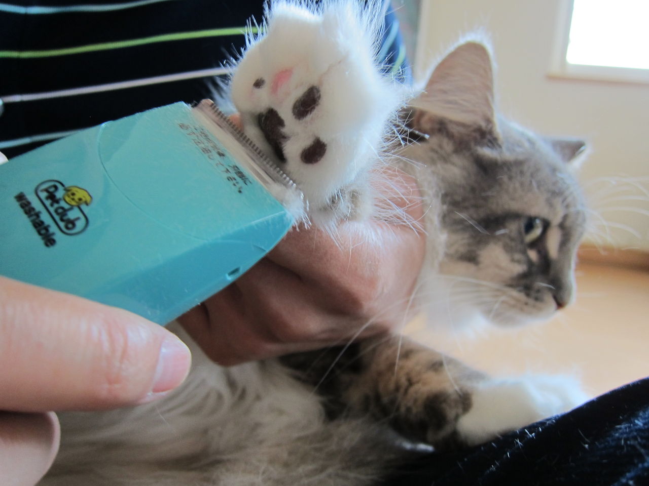 文明化 防腐剤 おんどり 猫 長毛 バリカン Izumiotsu Ed Jp