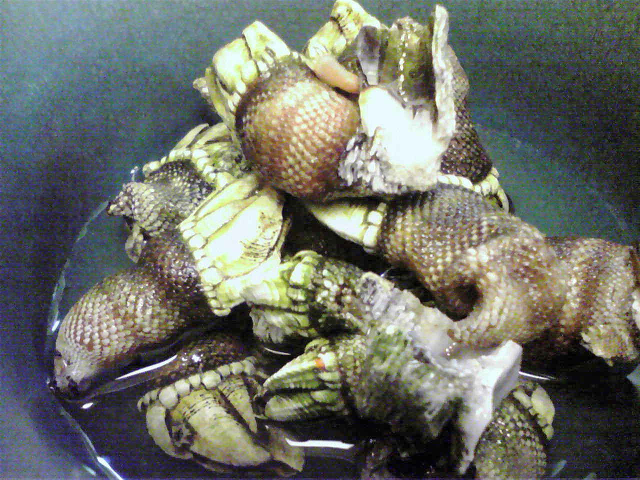 P1000014